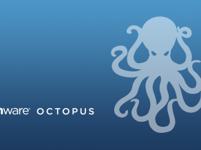 octopus-desktop-background