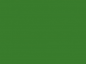 plain_vmware_green2